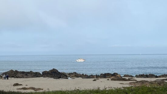 Retomadas buscas por pescador lúdico desaparecido em Viana do Castelo