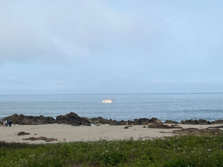 Retomadas buscas por pescador lúdico desaparecido em Viana do Castelo