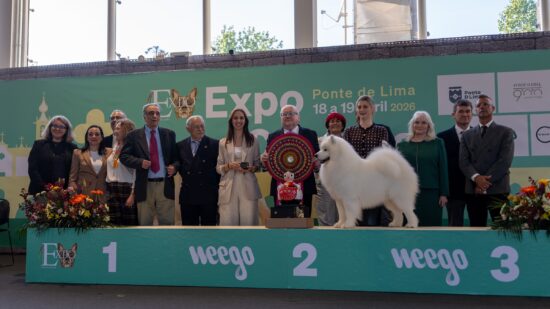 Ponte de Lima recebeu Expo Caninas com mais de 1.000 cães