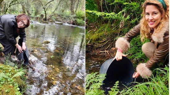 Viana: 25 mil pequenas trutas “devolvem vida” ao rio Âncora