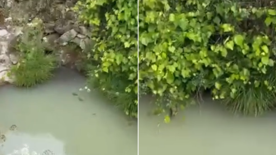 Outeiro denuncia alegado caso de poluição no rio: “um forte cheiro a fossa”