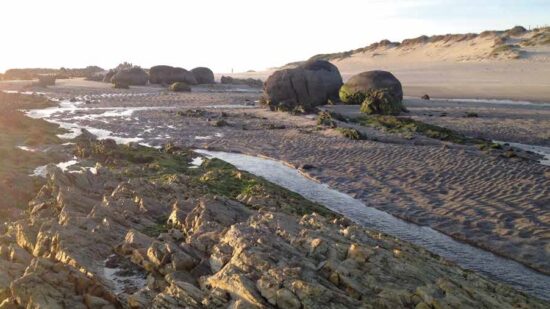 UMinho lança guia para descobrir a costa de Viana