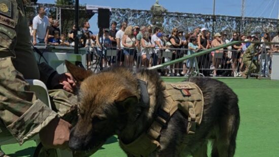 Força Aérea promove demonstração de cães militares em Viana