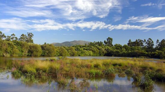 Ponte de Lima reforça área municipal dedicada à conservação da natureza