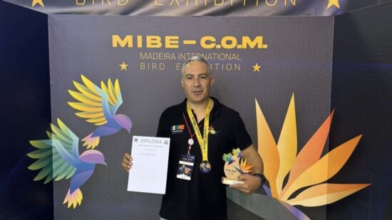 Vianense conquista duas medalhas de ouro em campeonato internacional de ornitologia na Madeira